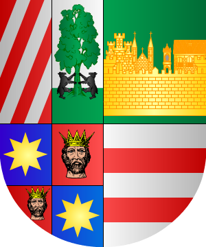 ESCUDO SIGUIENTE