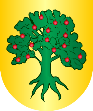 ESCUDO SIGUIENTE