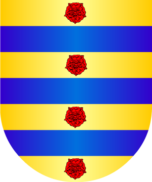 ESCUDO SIGUIENTE