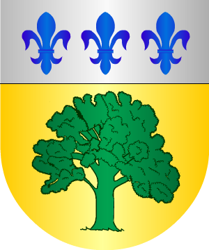 ESCUDO PRECEDENTE