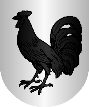 ESCUDO PRECEDENTE