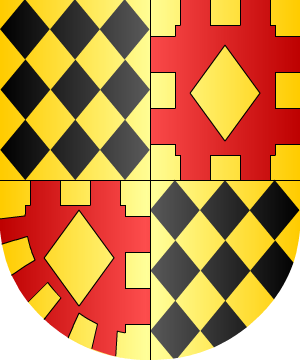 ESCUDO SIGUIENTE