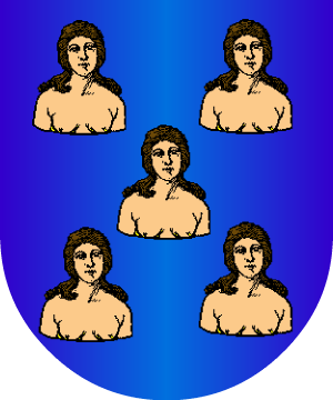 ESCUDO ALEATORIO