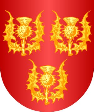 ESCUDO ALEATORIO