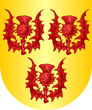 ESCUDO SIGUIENTE