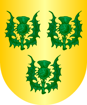 ESCUDO ALEATORIO