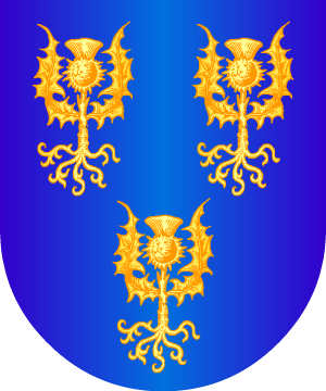 ESCUDO SIGUIENTE