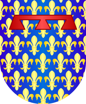 ESCUDO SIGUIENTE