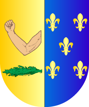 ESCUDO ALEATORIO