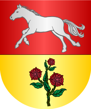 ESCUDO ALEATORIO