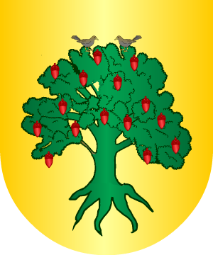 ESCUDO SIGUIENTE
