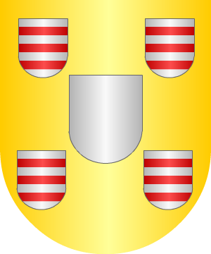 ESCUDO PRECEDENTE