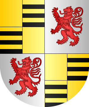 ESCUDO SIGUIENTE