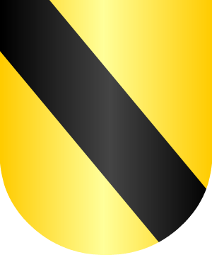 ESCUDO ALEATORIO