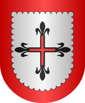 ESCUDO PRECEDENTE