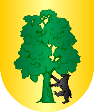 ESCUDO PRECEDENTE