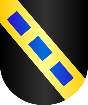 ESCUDO ALEATORIO
