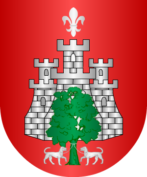 ESCUDO ALEATORIO
