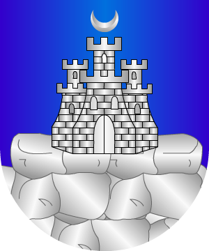 ESCUDO PRECEDENTE