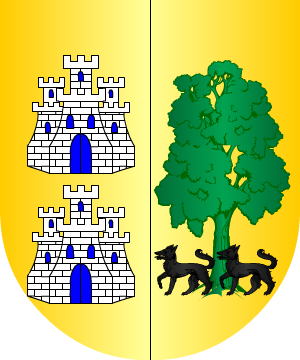 ESCUDO SIGUIENTE