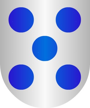 ESCUDO SIGUIENTE