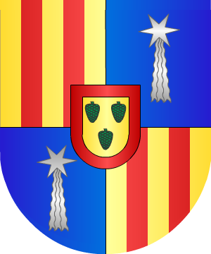 ESCUDO SIGUIENTE