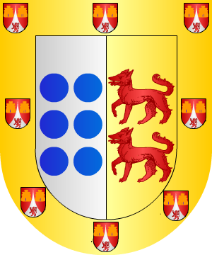 ESCUDO SIGUIENTE