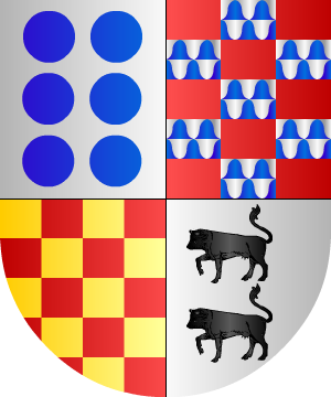 ESCUDO SIGUIENTE