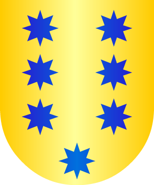 ESCUDO PRECEDENTE