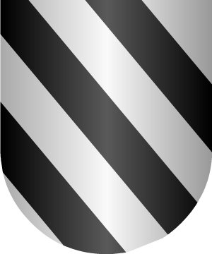 ESCUDO ALEATORIO