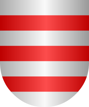 ESCUDO SIGUIENTE