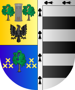 ESCUDO ALEATORIO