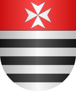 ESCUDO SIGUIENTE