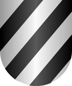 ESCUDO SIGUIENTE