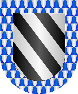ESCUDO SIGUIENTE