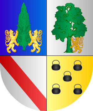 ESCUDO ALEATORIO
