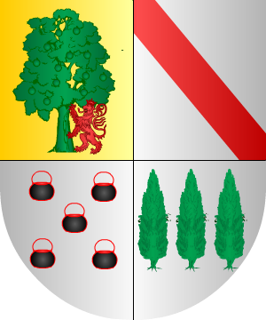 ESCUDO SIGUIENTE
