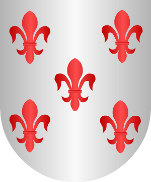 ESCUDO SIGUIENTE