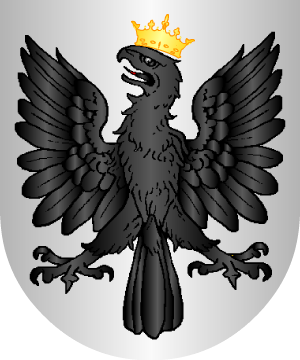 ESCUDO ALEATORIO