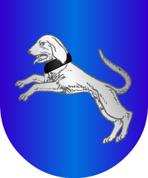 ESCUDO ALEATORIO
