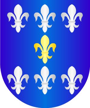 ESCUDO ALEATORIO