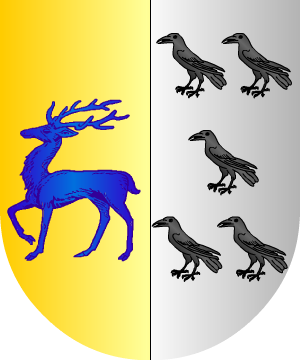 ESCUDO ALEATORIO