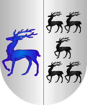 ESCUDO SIGUIENTE