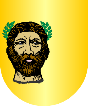 ESCUDO SIGUIENTE