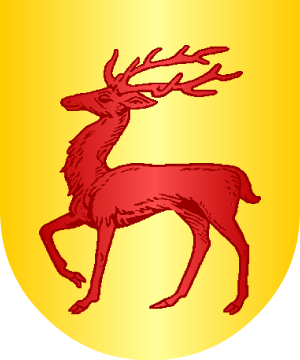 ESCUDO ALEATORIO