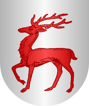 ESCUDO ALEATORIO