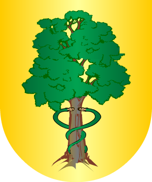 ESCUDO PRECEDENTE
