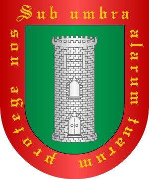 ESCUDO SIGUIENTE
