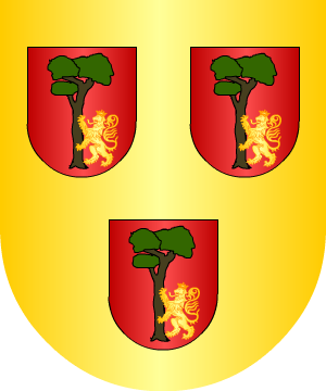 ESCUDO SIGUIENTE