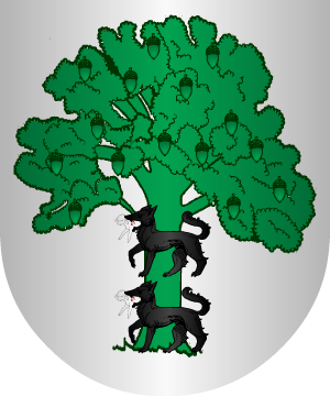 ESCUDO SIGUIENTE